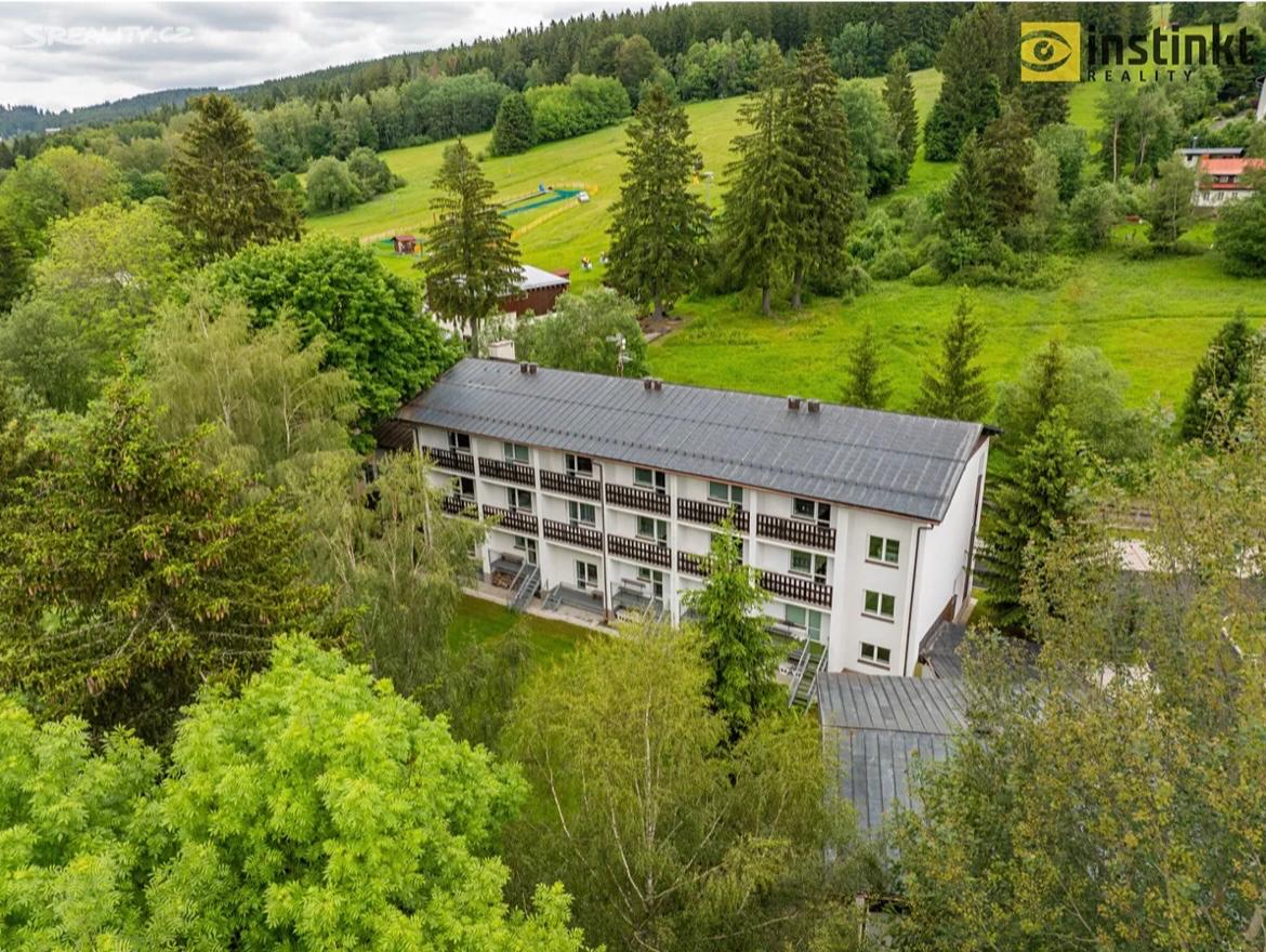 Apartmán Železná Ruda (4 os.) - 11