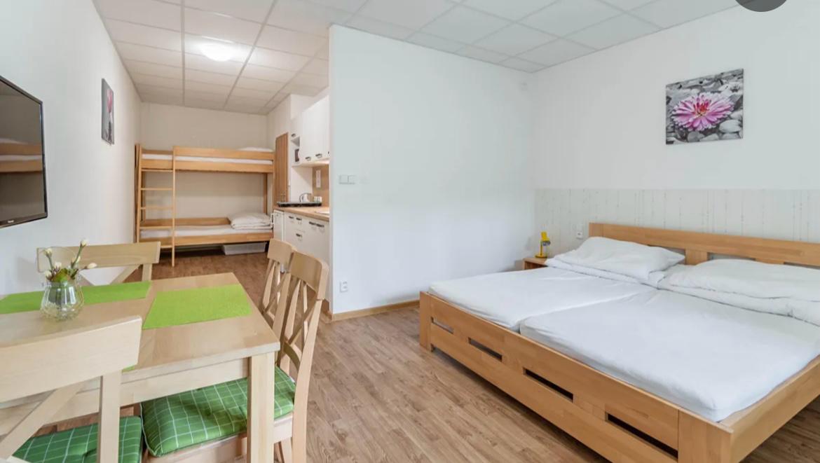 Apartmán Železná Ruda (4 os.) - 4