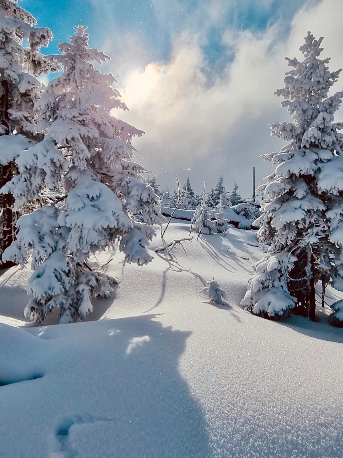 Apartmán Železná Ruda (4 os.) - 2